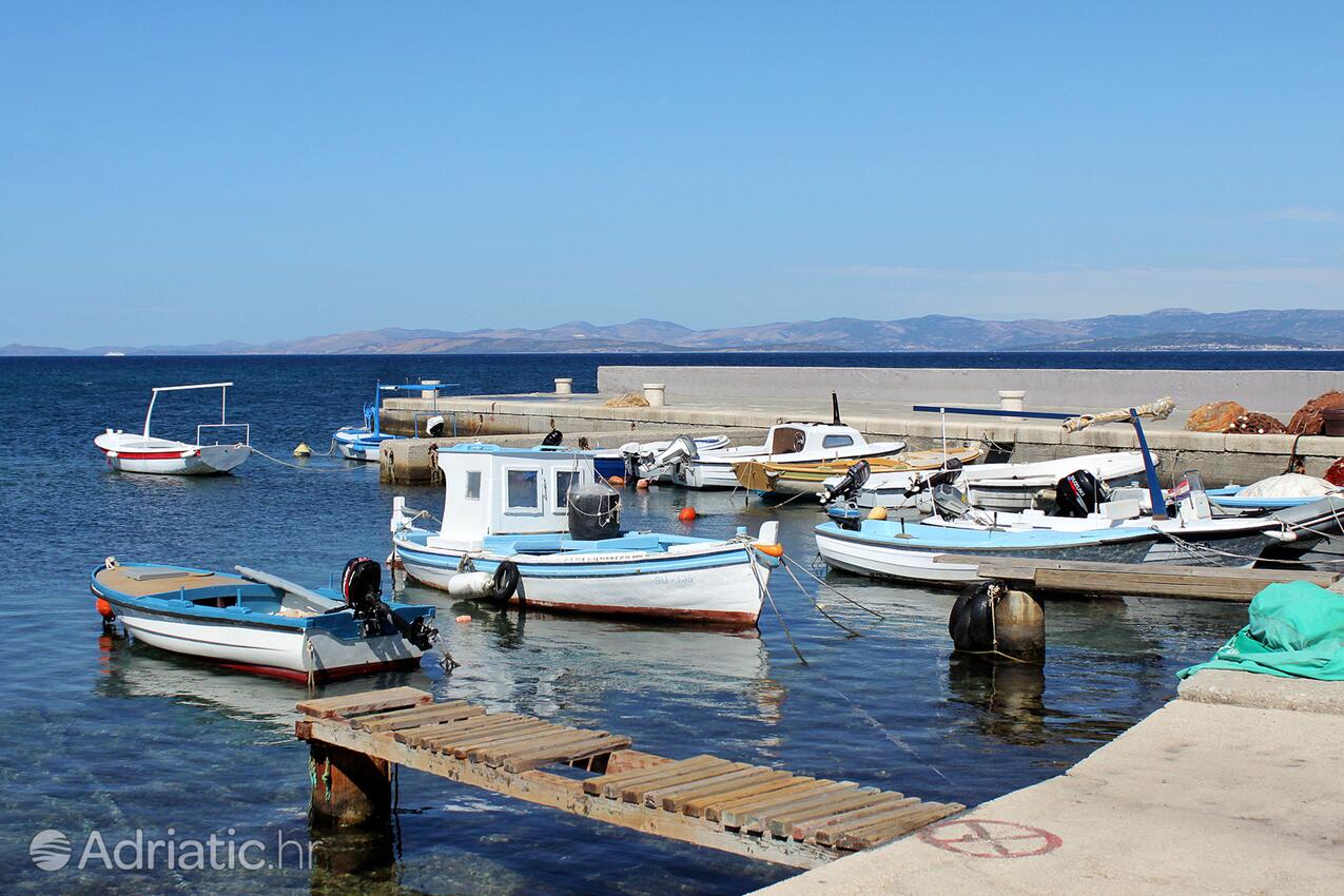 Mirca on the island Brač (Srednja Dalmacija)