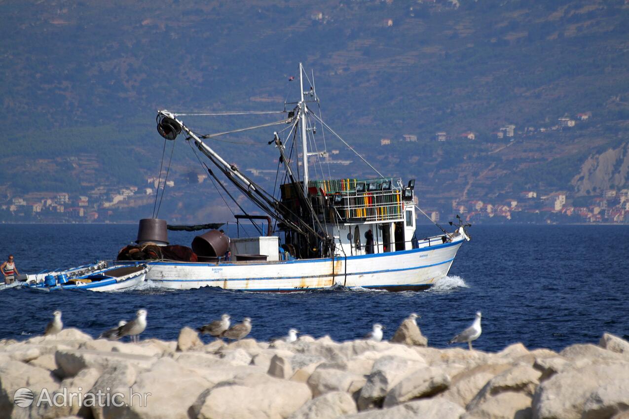 Supetar na ostrově Brač (Srednja Dalmacija)