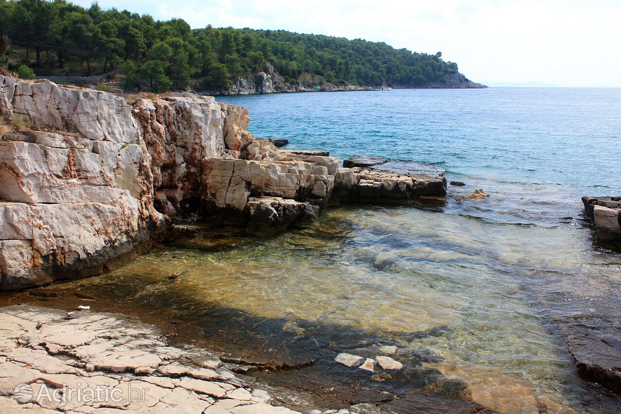 Spiagge nelle vicinanze - Appartamenti con piscina Milna, Brazza - Brač