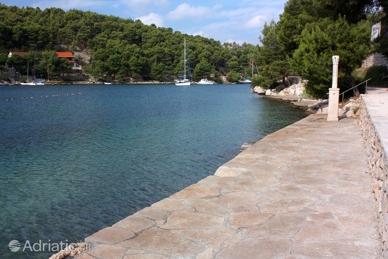 Spiagge nelle vicinanze - Appartamenti con piscina Milna, Brazza - Brač
