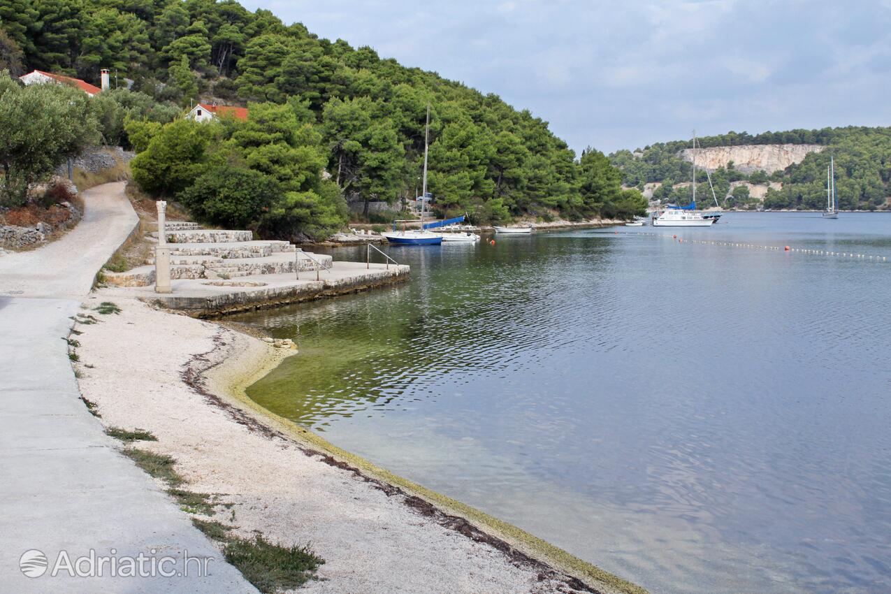 Spiagge nelle vicinanze - Appartamenti con piscina Milna, Brazza - Brač