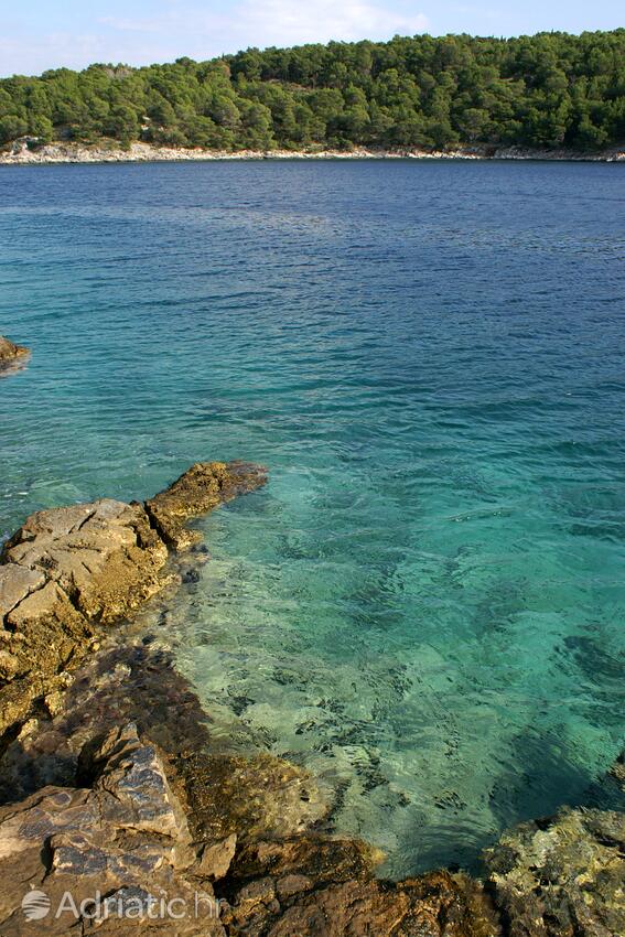 Spiagge nelle vicinanze - Appartamenti con piscina Milna, Brazza - Brač