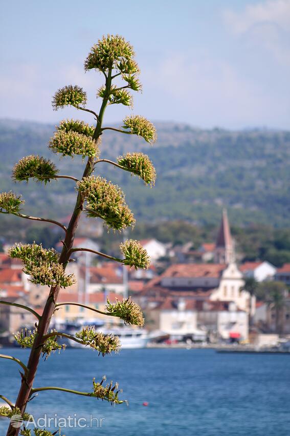 Milna sull'isola Brač (Srednja Dalmacija)