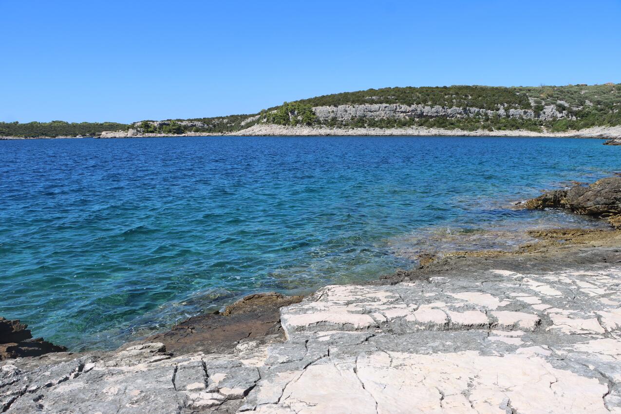 Pelegrin på otoku Korcula (Syddalmatien)