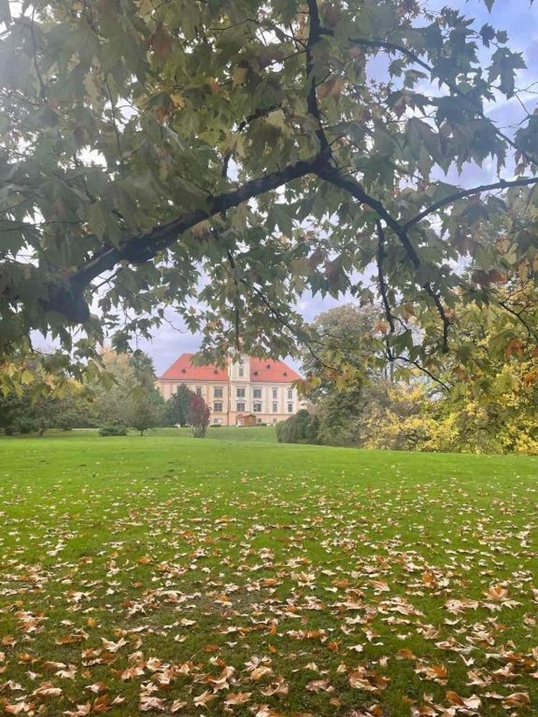 Where to stay in Valpovo