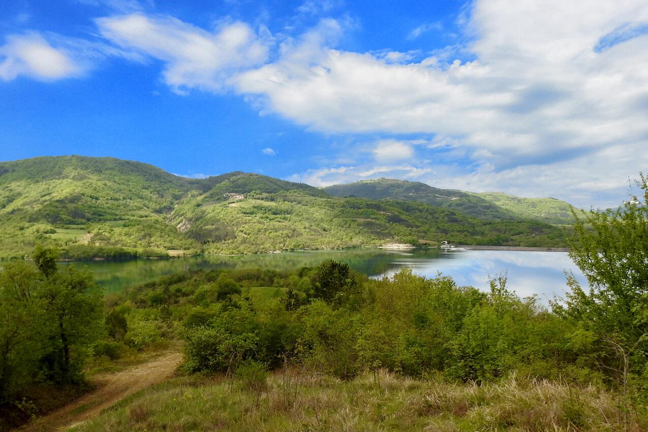 Juradi i Rivieran Sredisnja Istra (Istra)