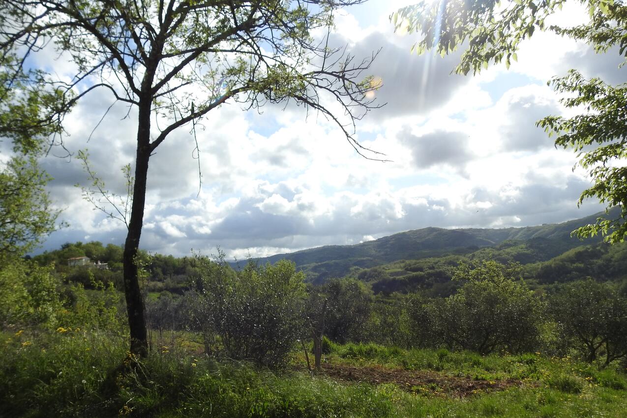 Juradi i Rivieran Središnja Istra (Istra)