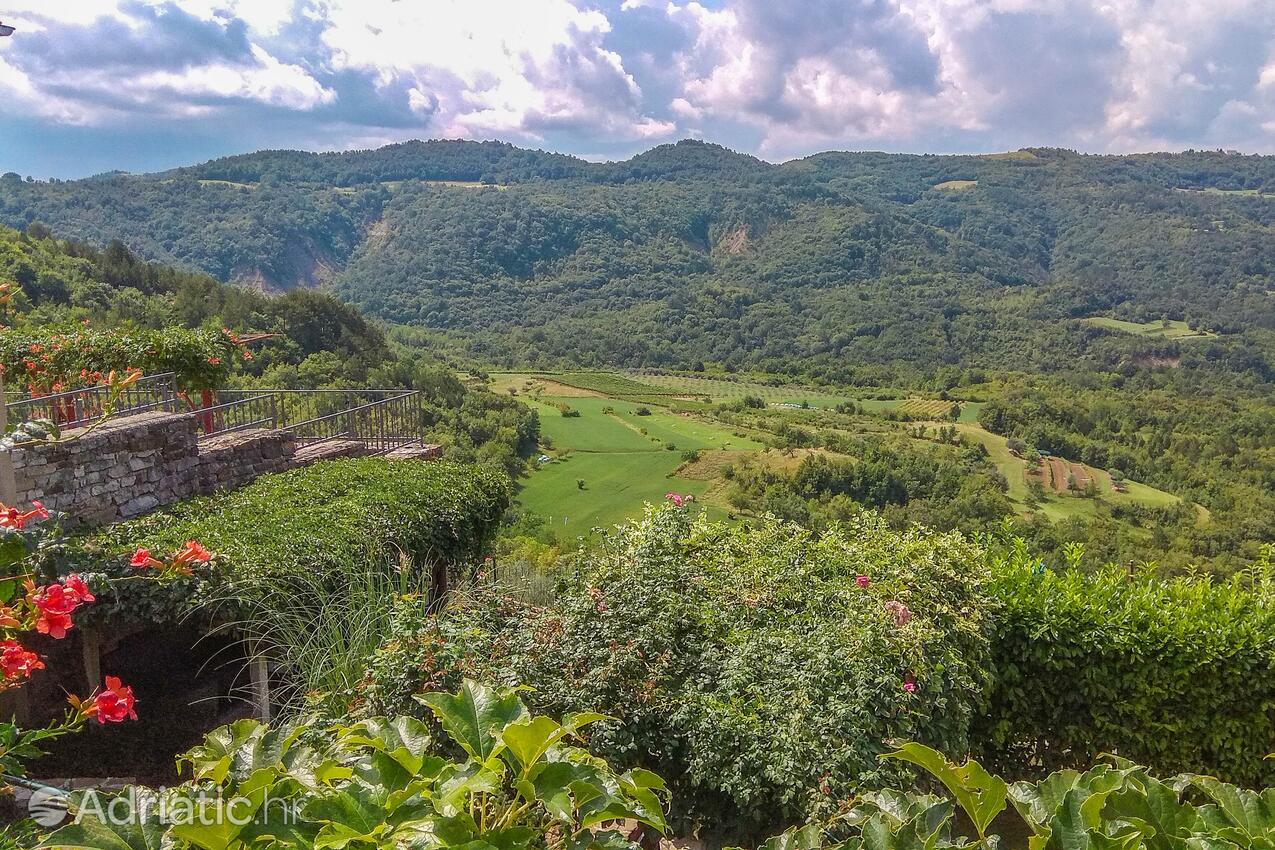 Draguc pe riviera Sredisnja Istra (Istria)