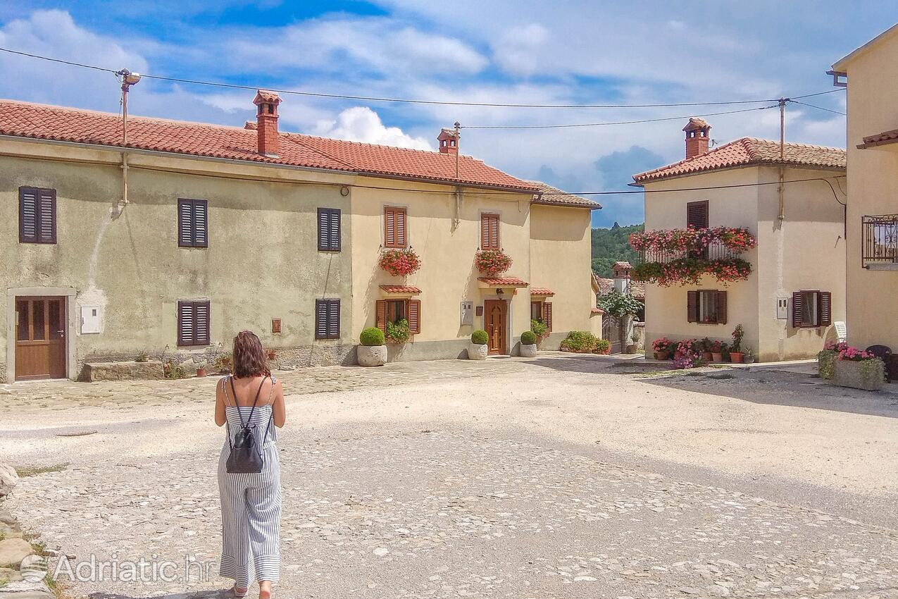 Draguć pe riviera Središnja Istra (Istra)