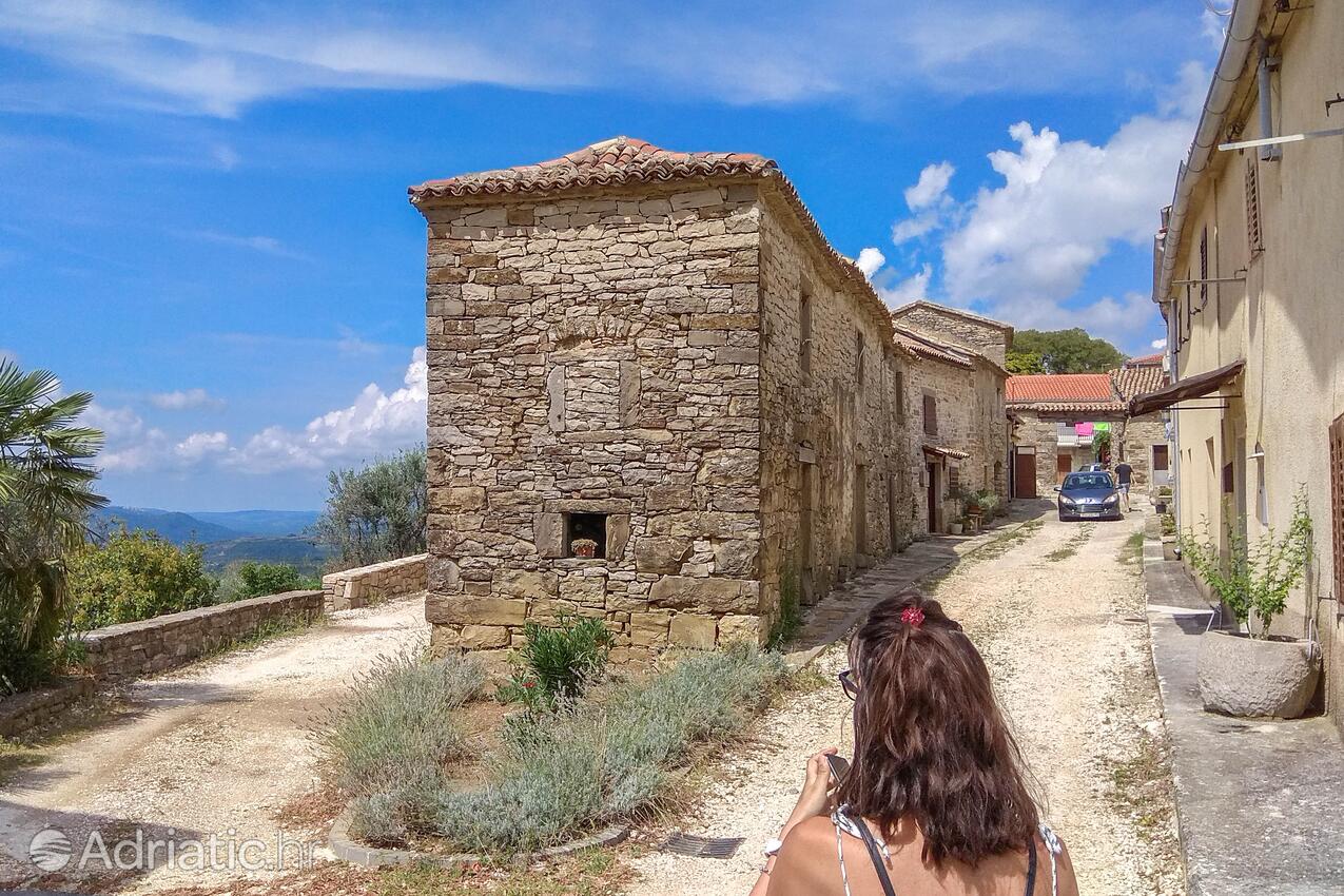 Draguć pe riviera Središnja Istra (Istra)