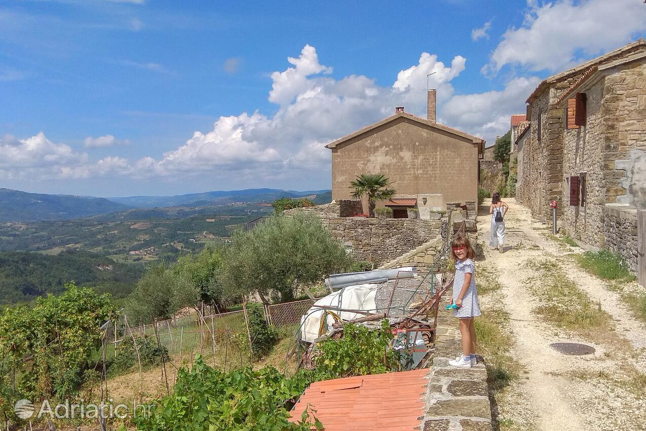 Draguć pe riviera Središnja Istra (Istra)