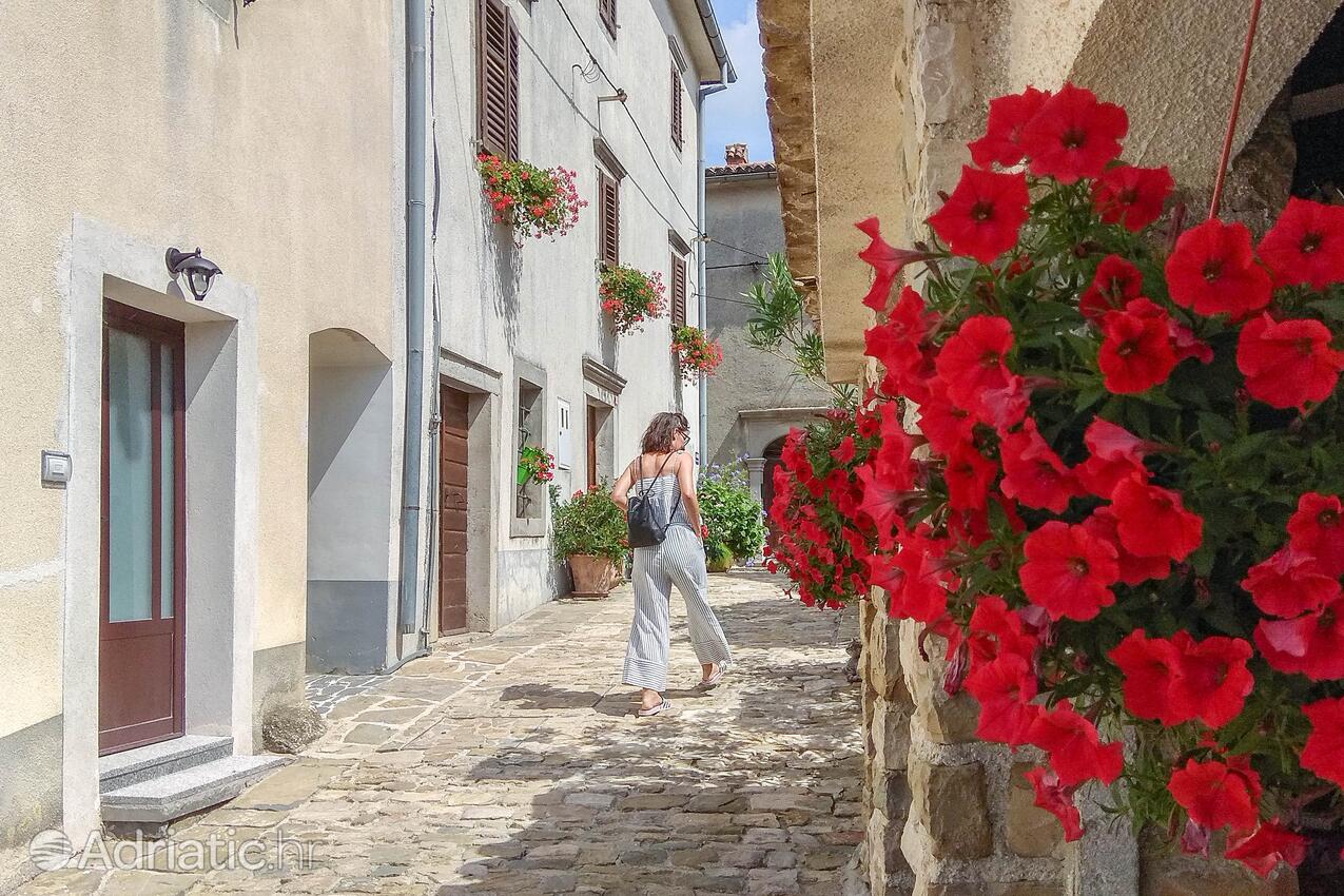 Draguć pe riviera Središnja Istra (Istra)