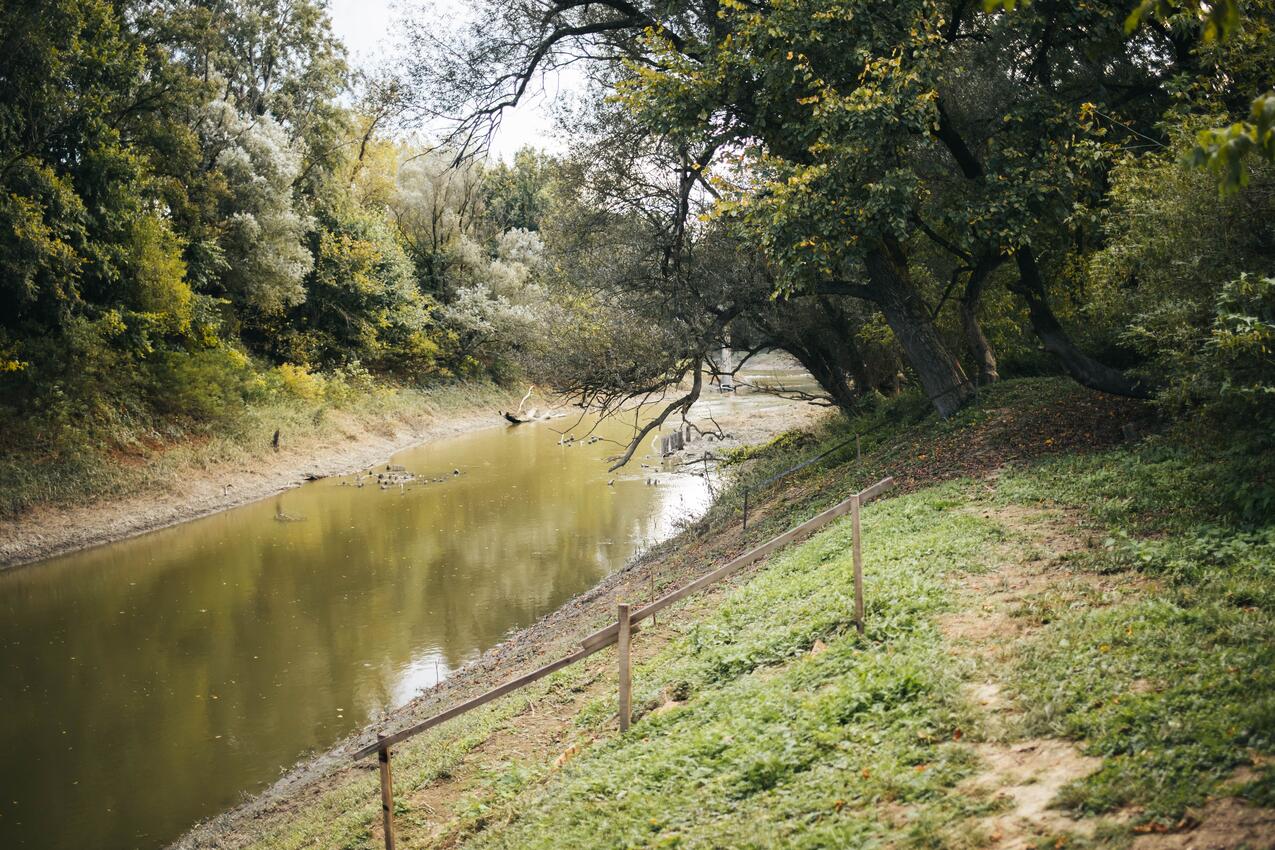 Trebež на Рив'єрі Moslavina (Kontinentalna Hrvatska)
