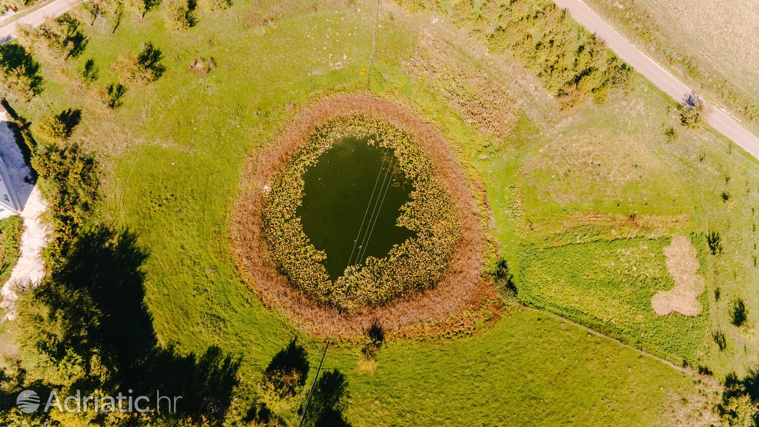 Švica i Rivieran Velebit (Lika i Gorski kotar)