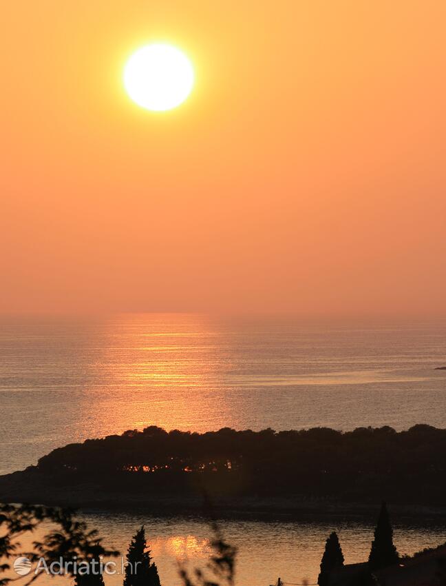 Maslinica en la isla Šolta (Srednja Dalmacija)