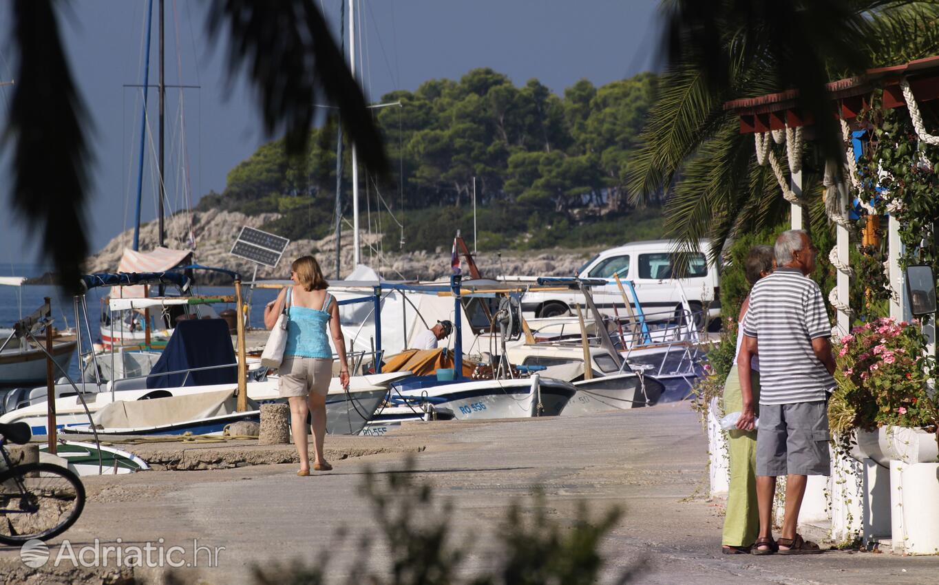 Maslinica na otoku Šolta (Srednja Dalmacija)