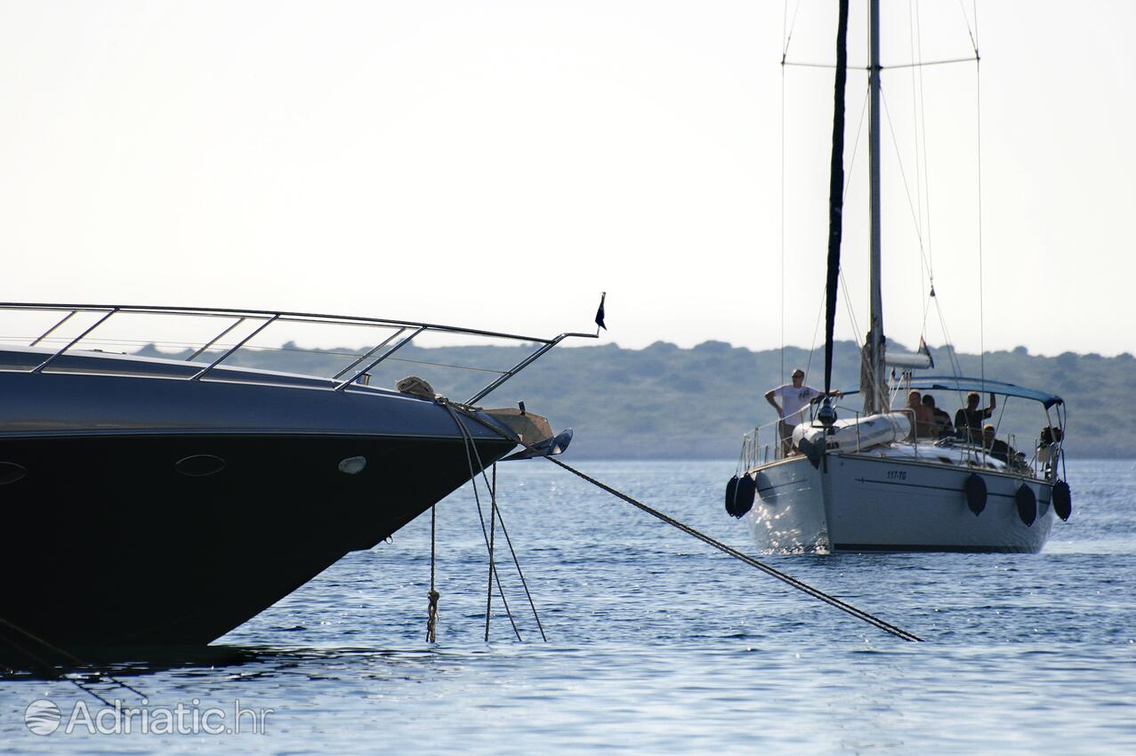 Maslinica en la isla Šolta (Srednja Dalmacija)