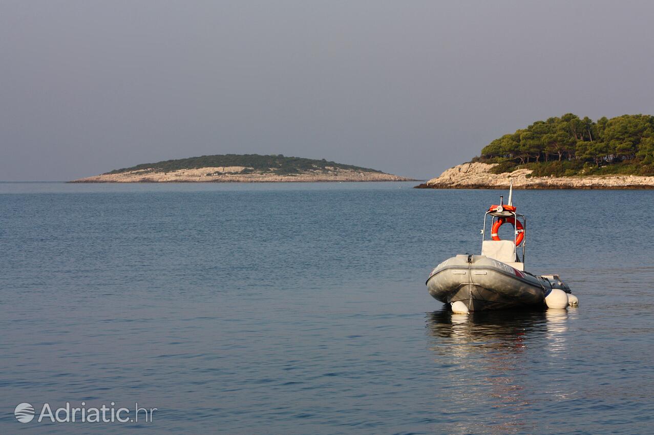 Maslinica en la isla Šolta (Srednja Dalmacija)