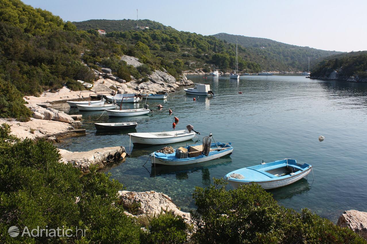 Maslinica en la isla Šolta (Srednja Dalmacija)