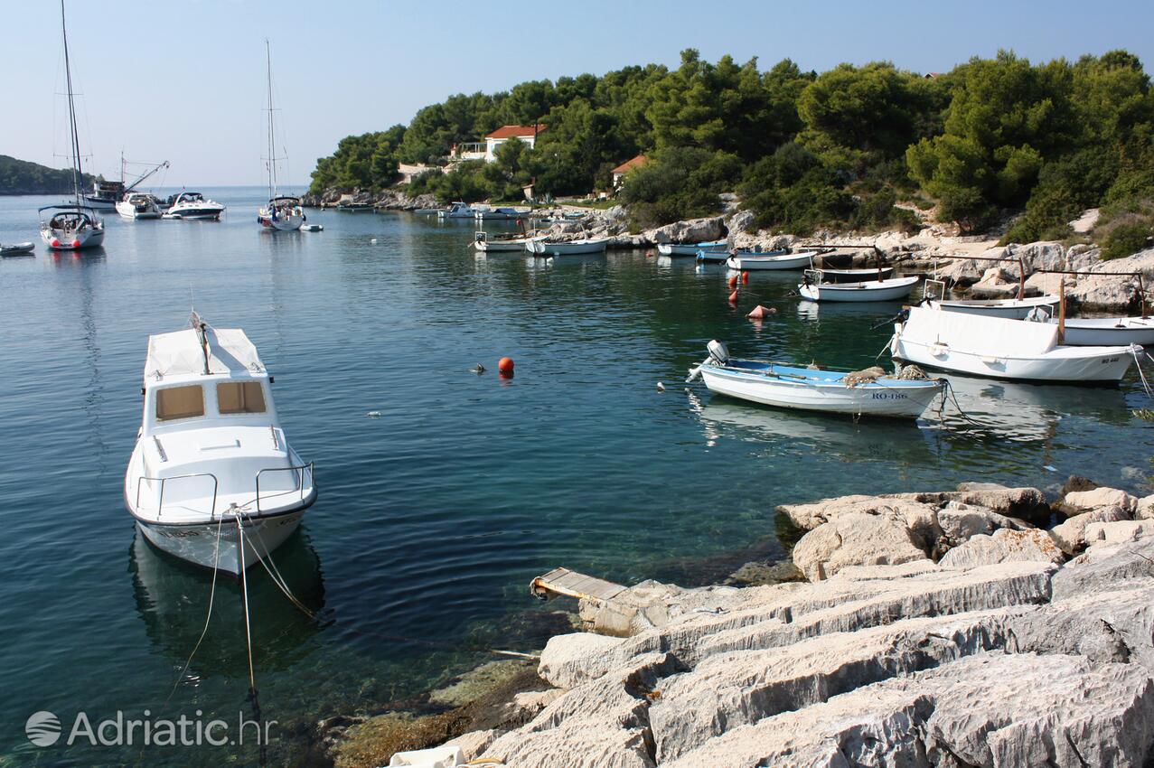 Maslinica en la isla Šolta (Srednja Dalmacija)