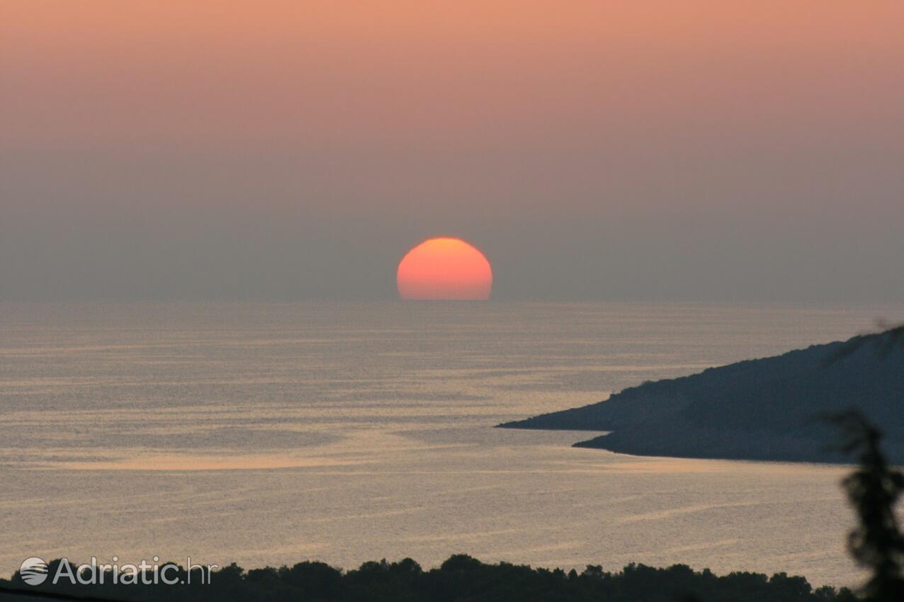 Maslinica na otoku Šolta (Srednja Dalmacija)