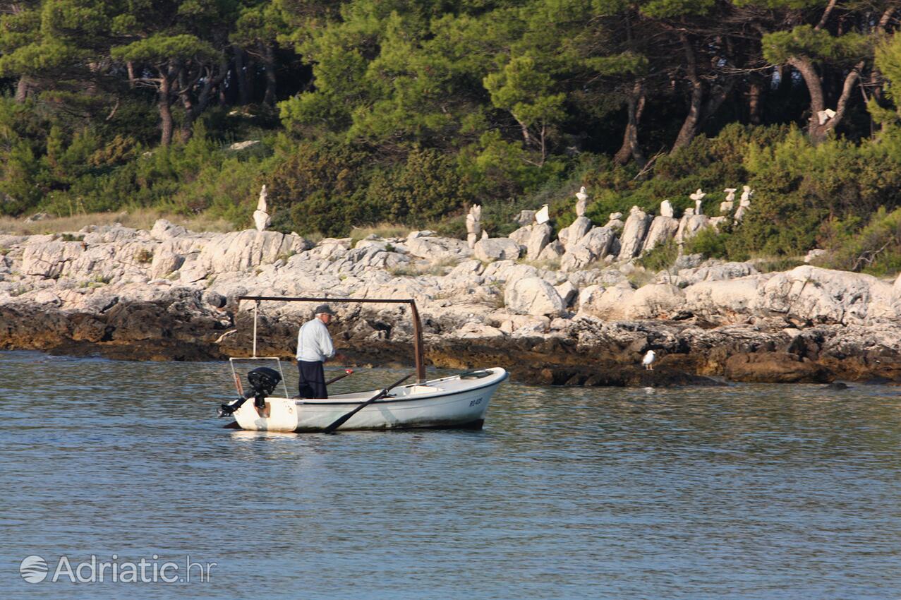 Maslinica en la isla Šolta (Srednja Dalmacija)