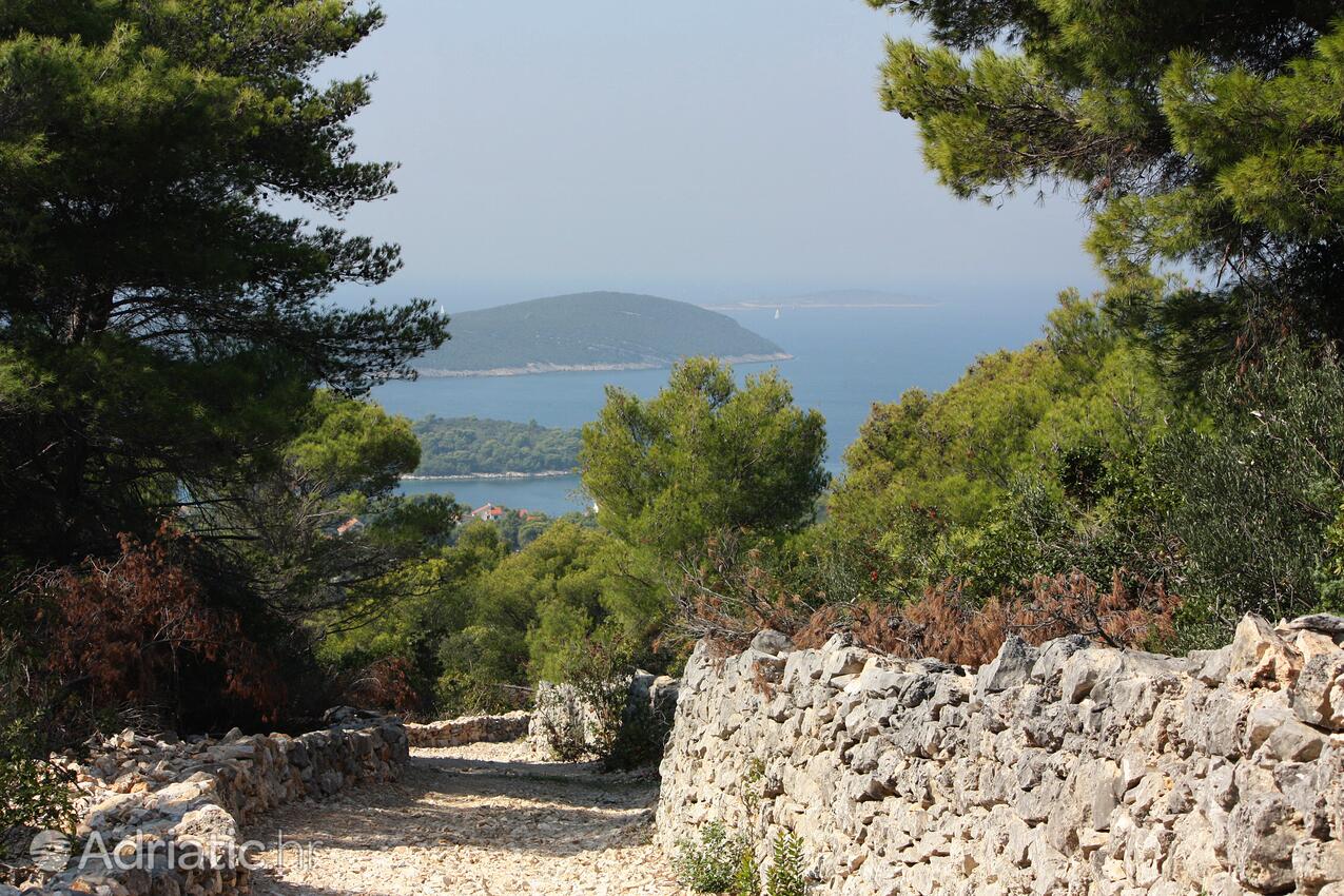 Maslinica en la isla Šolta (Srednja Dalmacija)