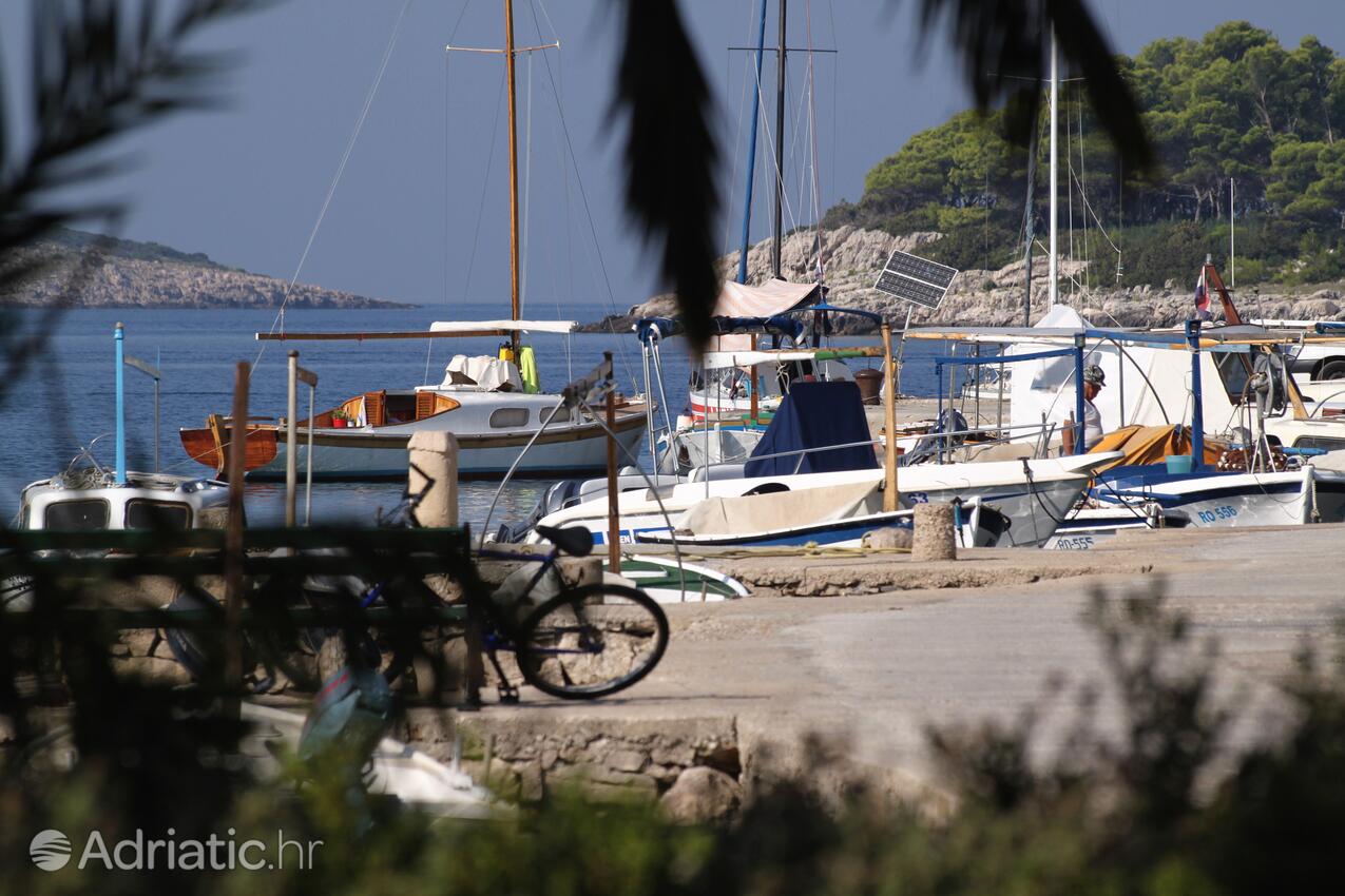 Maslinica en la isla Šolta (Srednja Dalmacija)