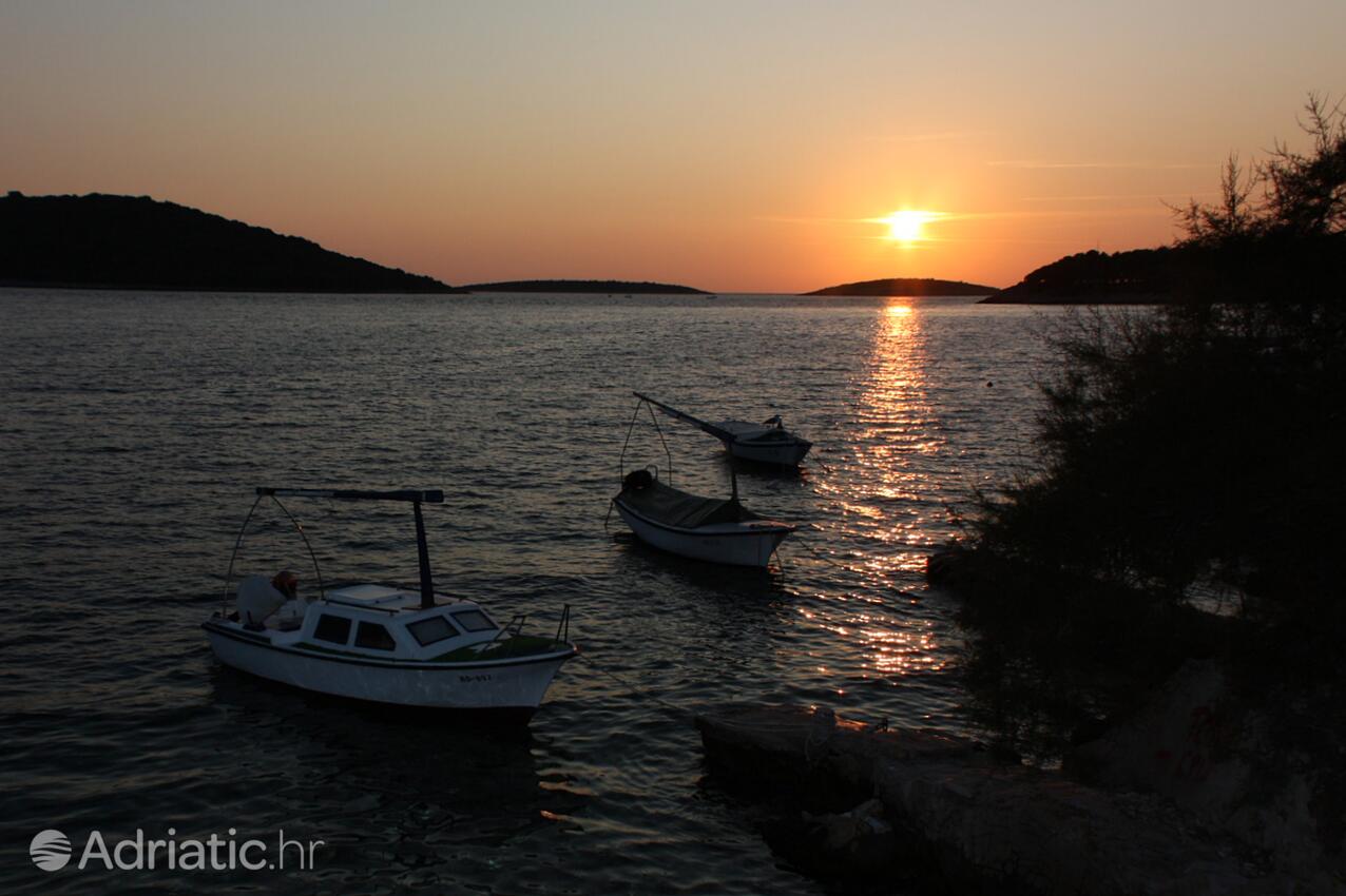 Maslinica en la isla Šolta (Srednja Dalmacija)