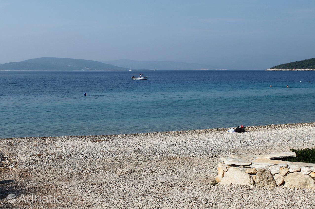 Spiagge nelle vicinanze - Casa vacanze con parcheggio Maslinica, Solta