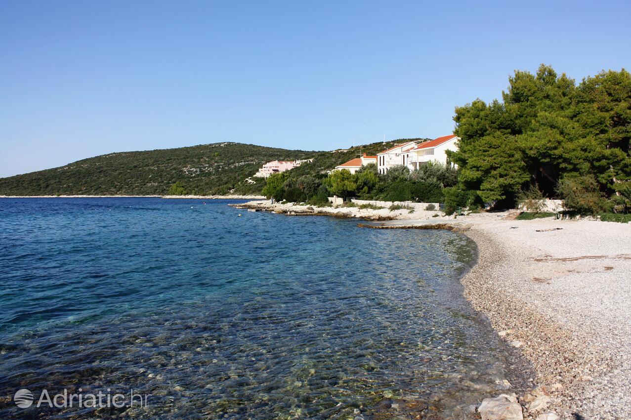 Spiagge nelle vicinanze - Casa vacanze con parcheggio Maslinica, Solta