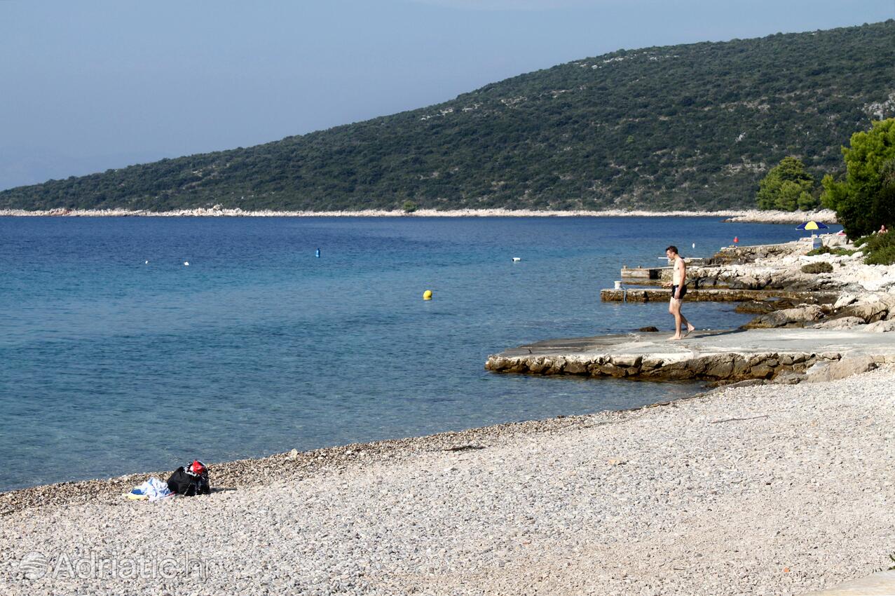 Spiagge nelle vicinanze - Casa vacanze con parcheggio Maslinica, Solta