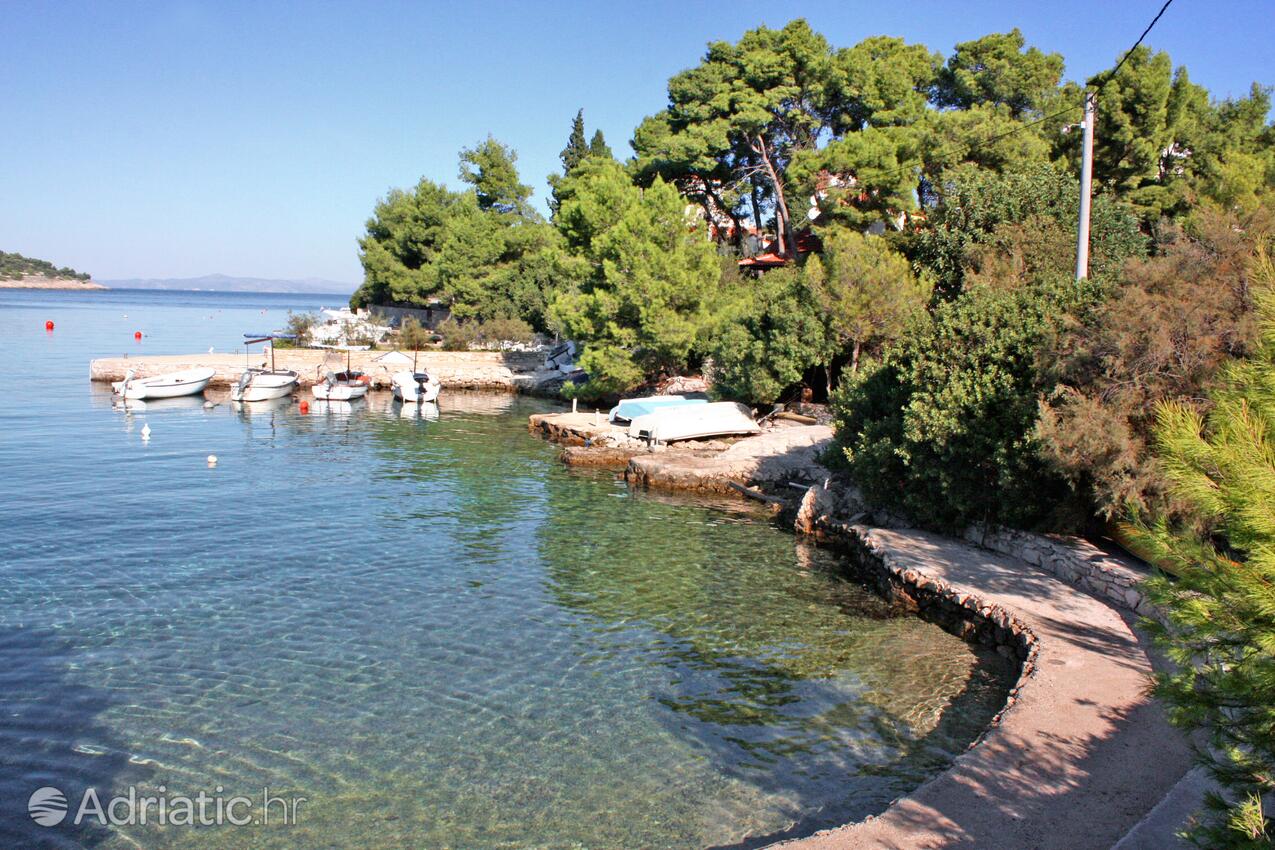 Spiagge nelle vicinanze - Appartamenti con Internet Necujam, Solta