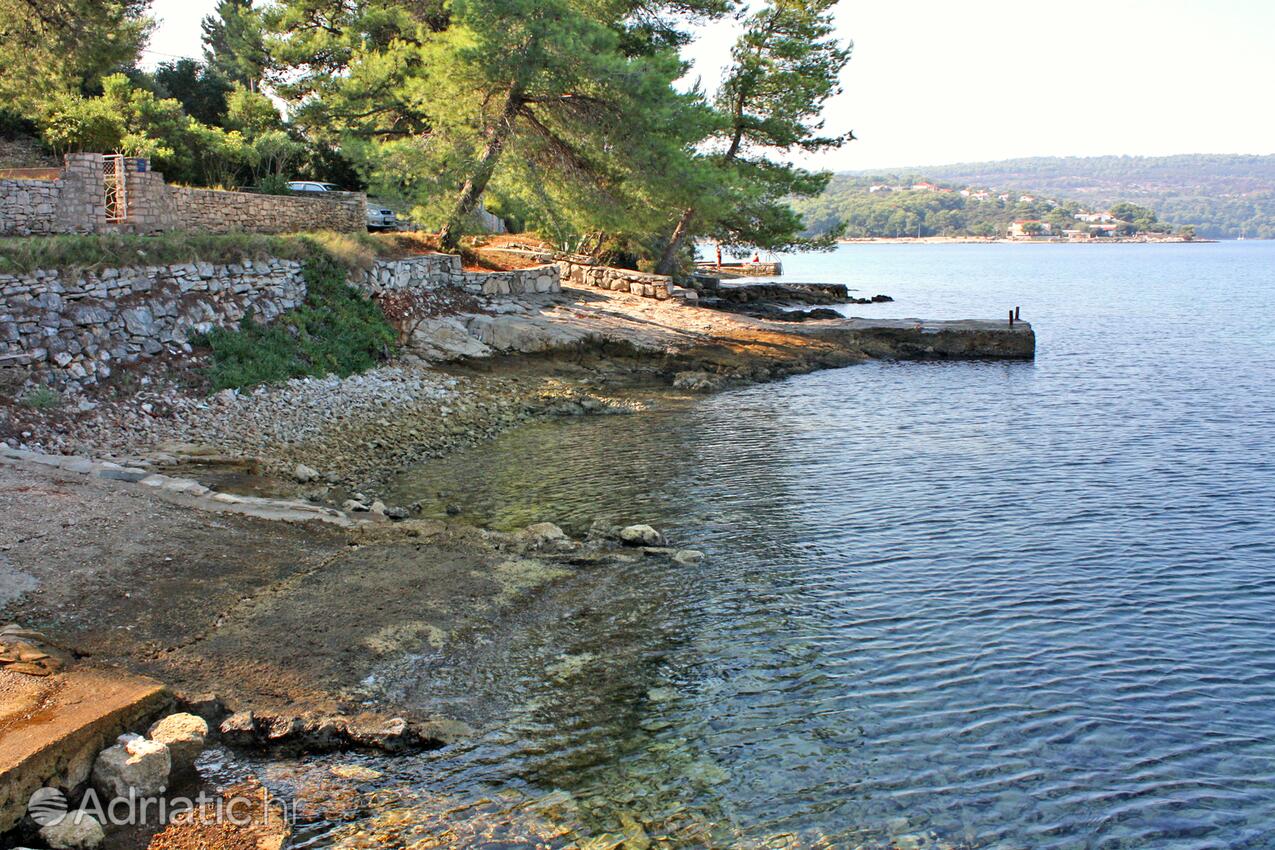 Spiagge nelle vicinanze - Appartamenti con Internet Necujam, Solta
