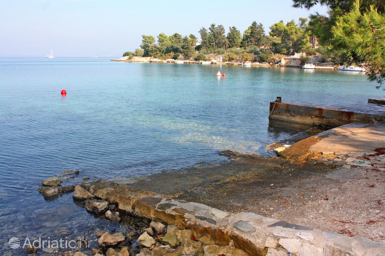Spiagge nelle vicinanze - Appartamenti con Internet Necujam, Solta