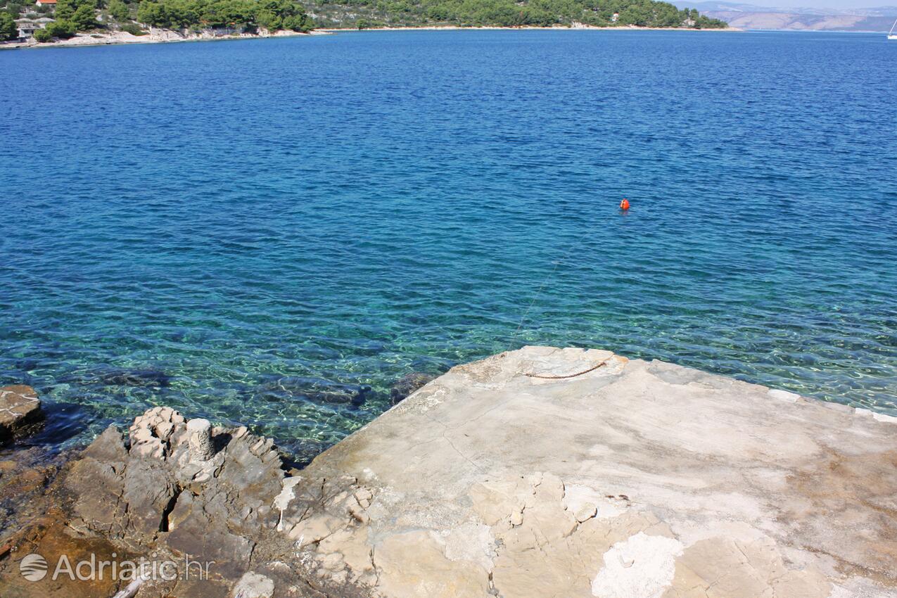 Spiagge nelle vicinanze - Appartamenti con Internet Necujam, Solta
