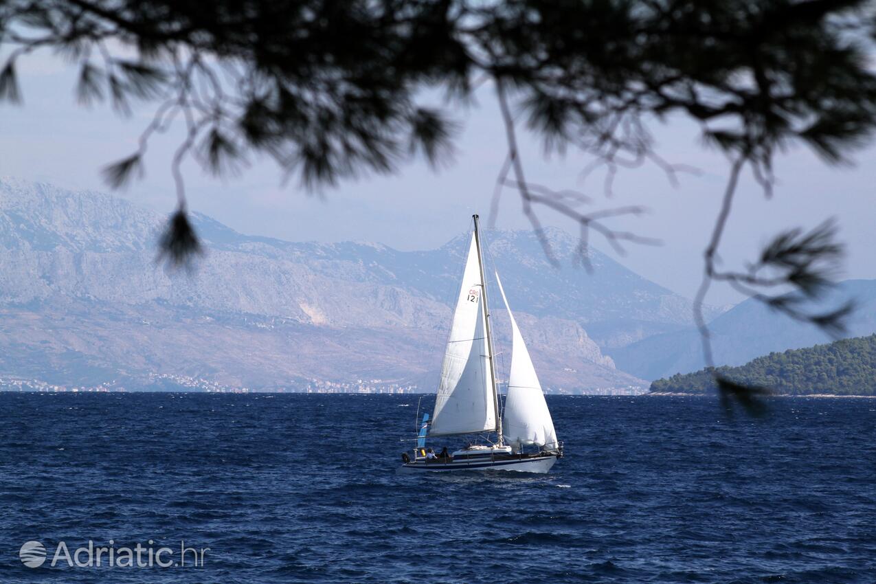 Stomorska auf der Insel Šolta (Srednja Dalmacija)