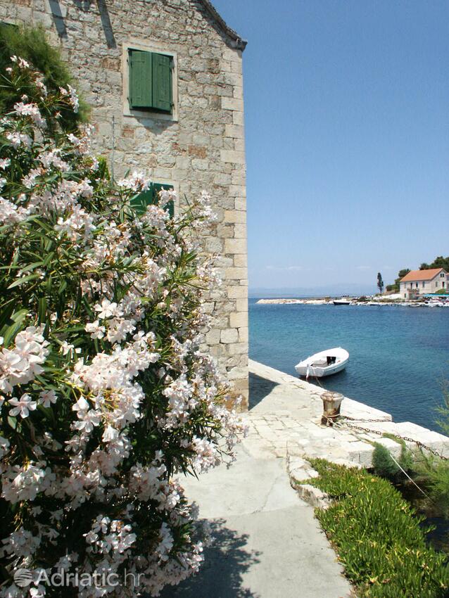 Stomorska auf der Insel Šolta (Srednja Dalmacija)