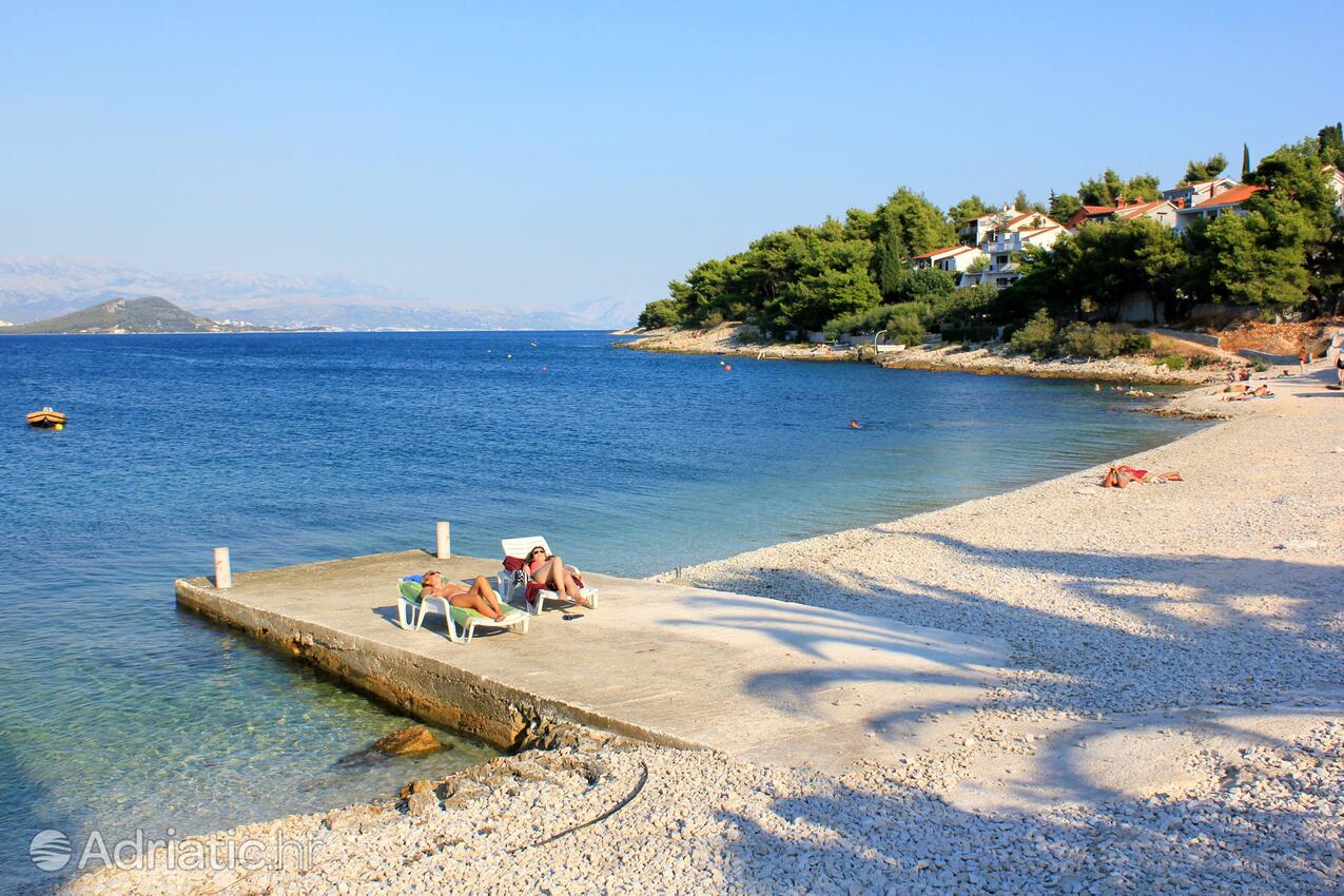 Nearby beaches - Apartments by the sea Arbanija, Čiovo