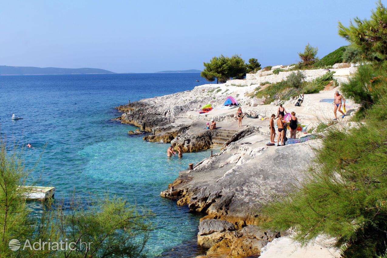 Nearby beaches - Family friendly apartments with a swimming pool Bušinci, Čiovo