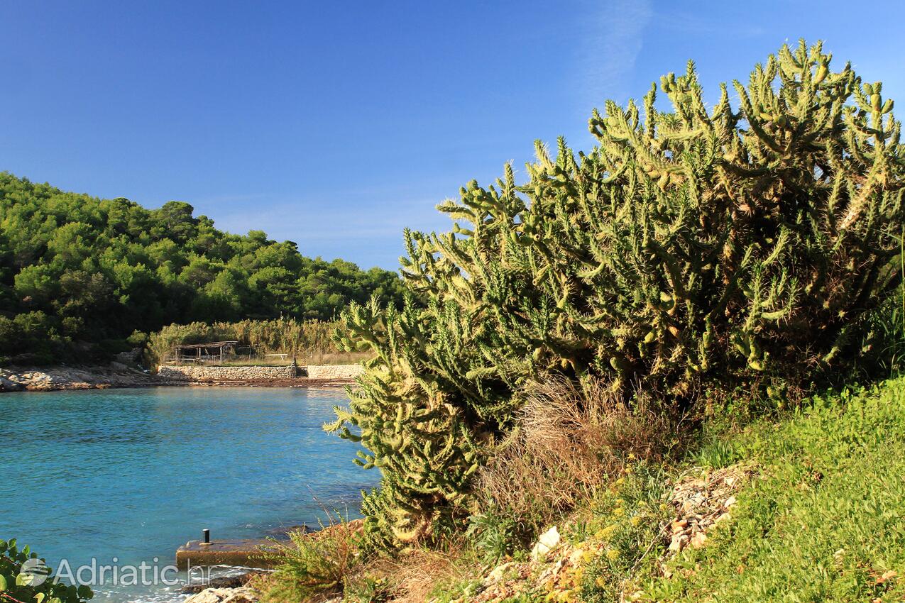 Milna sur l’île Vis (Srednja Dalmacija)