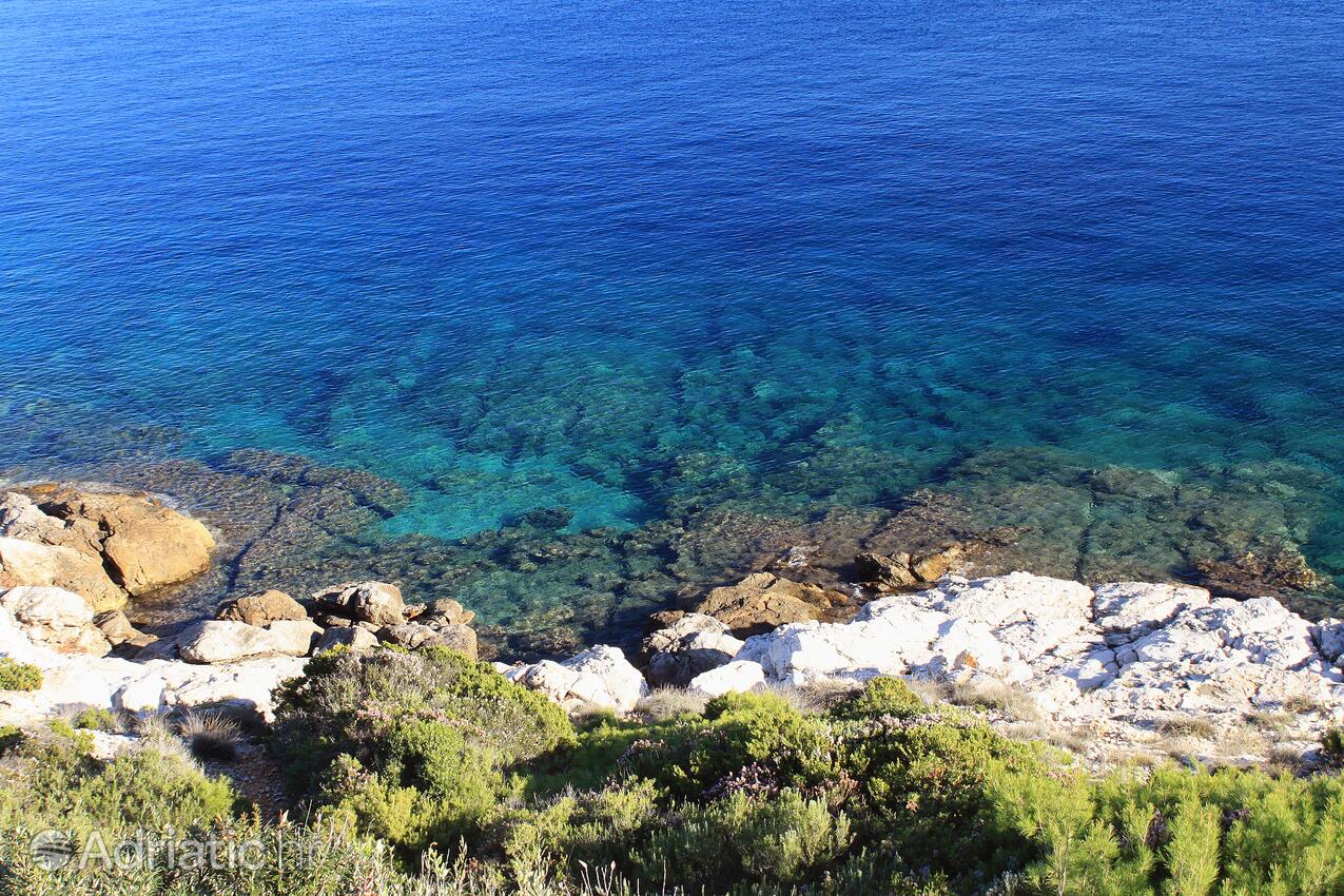 Spiagge nelle vicinanze - Casa vacanze accanto al mare Milna, Lissa - Vis