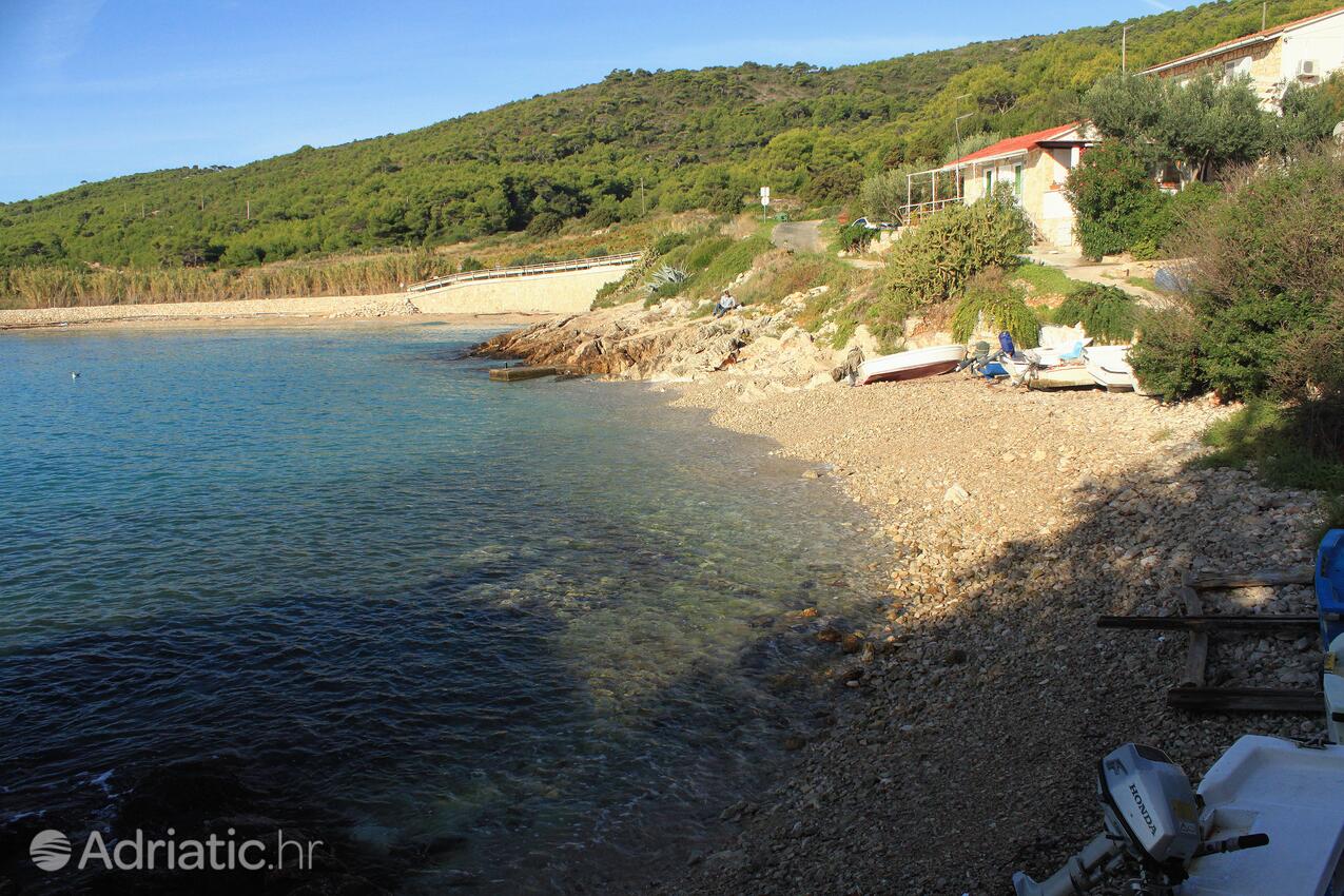 Spiagge nelle vicinanze - Casa vacanze accanto al mare Milna, Lissa - Vis