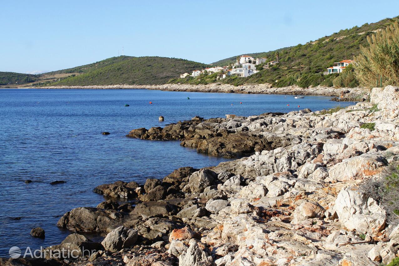 Spiagge nelle vicinanze - Casa vacanze accanto al mare Milna, Lissa - Vis