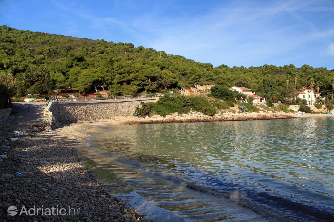Spiagge nelle vicinanze - Casa vacanze accanto al mare Milna, Lissa - Vis