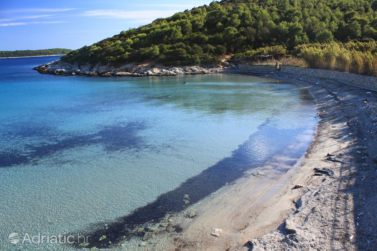 Spiagge nelle vicinanze - Casa vacanze accanto al mare Milna, Lissa - Vis