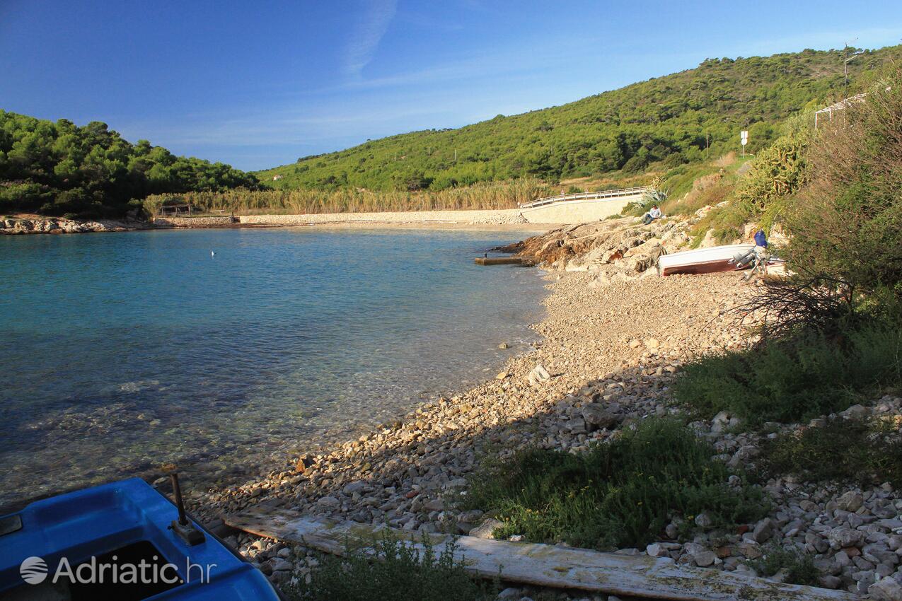 Spiagge nelle vicinanze - Casa vacanze accanto al mare Milna, Lissa - Vis
