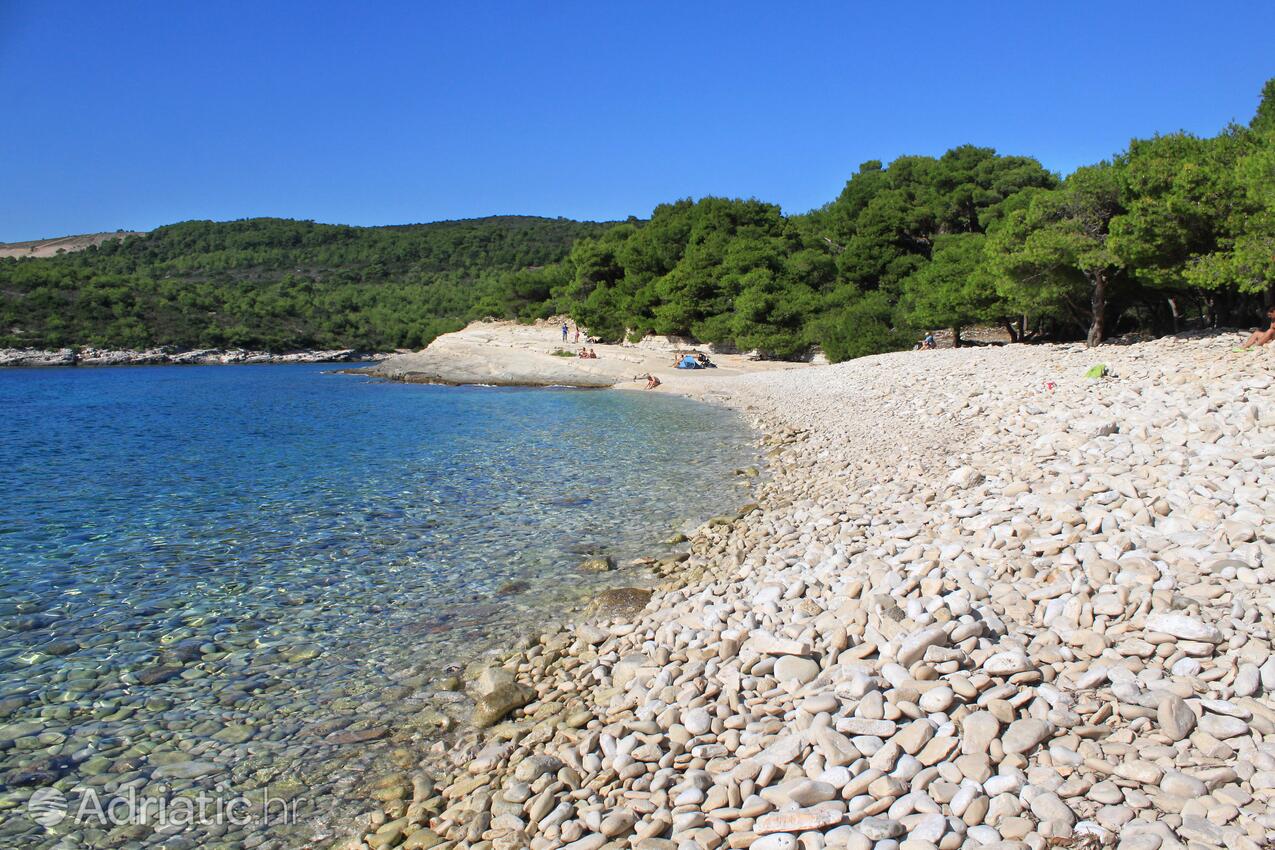 Spiagge nelle vicinanze - Casa vacanze accanto al mare Milna, Lissa - Vis