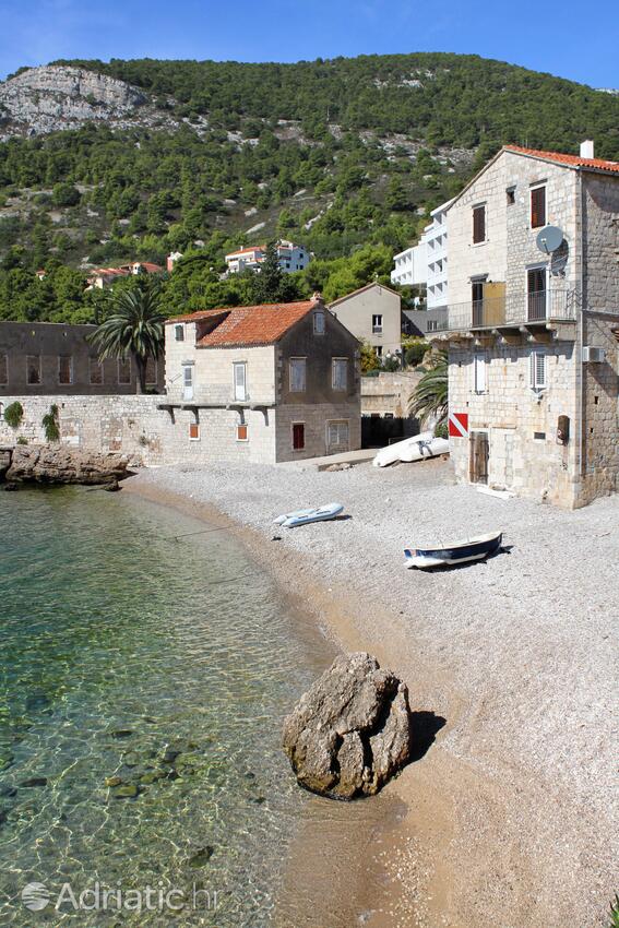 Spiagge nelle vicinanze - Appartamenti con Internet Comisa - Komiža, Lissa - Vis