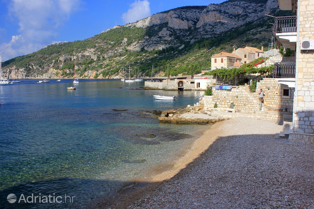 Spiagge nelle vicinanze - Appartamenti con Internet Comisa - Komiža, Lissa - Vis